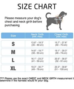 Rabbitgoo No-Pull Dog Harness 8 thedogdaily.com