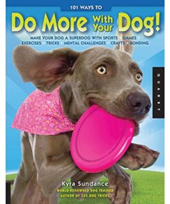 Do More with Your Dog thedogdaily.com
