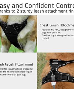 Rabbitgoo No-Pull Dog Harness 5 thedogdaily.com