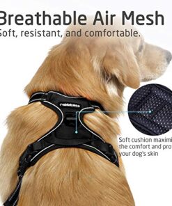 Rabbitgoo No-Pull Dog Harness 2 thedogdaily.com