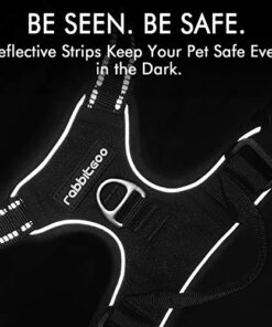 Rabbitgoo No-Pull Dog Harness thedogdaily.com