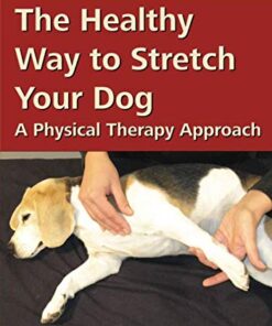 The Healthy Way to Stretch Your Dog thedogdaily.com