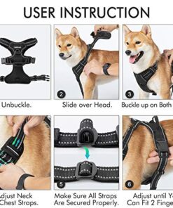 How to put on rabbitgoo harness best sale