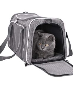 Soft Pet Carrier for Small Dogs 5 thedogdaily.com