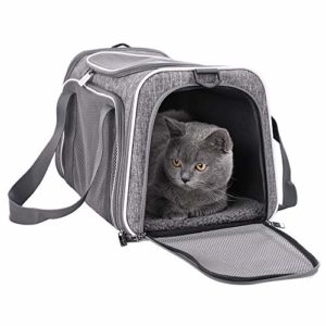 Soft Pet Carrier for Small Dogs 5 thedogdaily.com