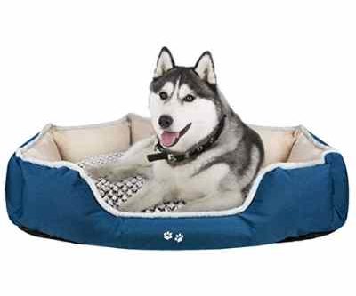 A Guide to the Best Dog Beds - The Dog Daily