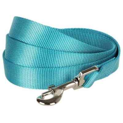 Blueberry dog leash
