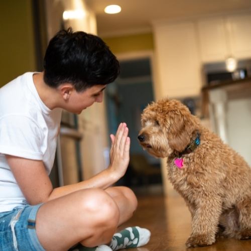 Owner teaching his puppy not to bite